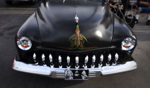 VLV2014-(20)